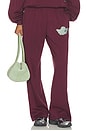 view 1 of 7 PANTALON HAD ME AT MERLOT ALEX  in Wine