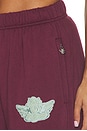 view 8 of 7 PANTALON HAD ME AT MERLOT ALEX  in Wine