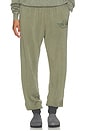 view 1 of 7 PANTALON OLD SCHOOL KIMMY  in Green
