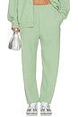 view 1 of 7 PANTALON OLIVE YOU KIMMY  in Sage Green