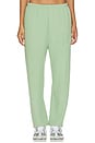 view 2 of 7 PANTALON OLIVE YOU KIMMY  in Sage Green