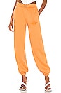 view 1 of 4 Josh Grunfeld Pant in Orange