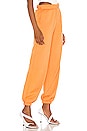view 2 of 4 Josh Grunfeld Pant in Orange