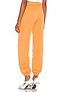 view 3 of 4 Josh Grunfeld Pant in Orange