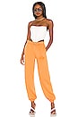 view 4 of 4 Josh Grunfeld Pant in Orange