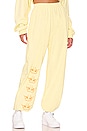 view 1 of 4 Liar Liar Sweatpant in Dandelion