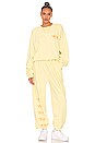 view 4 of 4 Liar Liar Sweatpant in Dandelion