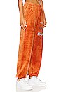 view 2 of 5 Gone Viral Sweatpants in Cinnamon