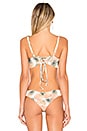 view 3 of 4 TOP BIKINI NORRIS in Pina Colada