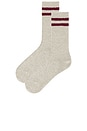 view 2 of 2 Schoolboy Socks in Gray & Burgundy
