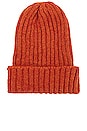 view 1 of 2 Wool Watch Cap in Orange