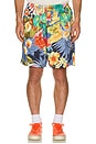 view 3 of 4 Gym Shorts Tropical Pattern Print in Navy