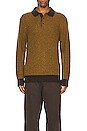 view 4 of 4 Knit Polo in Brown & Mustard