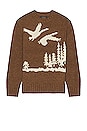 view 1 of 3 Intarsia Sweater in Brown