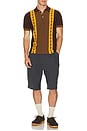 view 4 of 4 Knit Polo Stripe Argyle in Brown