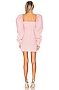 view 3 of 3 Mini Dress in Rosa