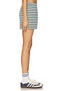 view 3 of 6 Rayah Short in Sage Bloom Stripe