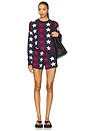 view 5 of 6 Balboa Short in Americana Stars