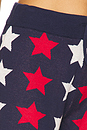 view 6 of 6 Balboa Short in Americana Stars