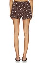 view 4 of 6 Birkley Short in Brown Polka Dot