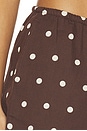 view 6 of 6 Birkley Short in Brown Polka Dot