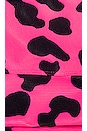 view 5 of 5 SHORT CYCLISTE in Pink Leopard