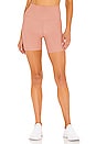 view 1 of 5 Bike Short in Antique Rose