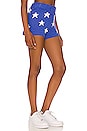 view 2 of 4 ШОРТЫ BALBOA in Star Spangled
