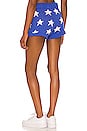 view 3 of 4 ШОРТЫ BALBOA in Star Spangled