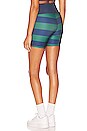 view 3 of 4 Bike Short in Verdant Rugby Stripe