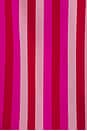 view 4 of 4 LINGERIE LIVY & CONNIE in Pink & Red Stripe