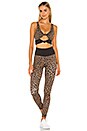 view 4 of 4 Bowie Sports Bra in Leopard