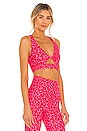 view 2 of 4 Twist Sports Bra in Famous High Risk Red Leopard