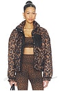 view 1 of 5 Harvie Jacket in Caramel Leopard
