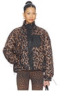 view 2 of 5 Harvie Jacket in Caramel Leopard