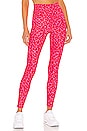 view 1 of 4 AYLA レギンス in Famous High Risk Red Leopard