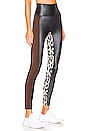 view 2 of 5 Spotted Leopard Legging in Leopard Colorblock