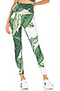 view 1 of 4 Lauren Legging in Palm