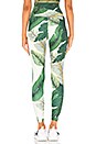 view 3 of 4 Lauren Legging in Palm
