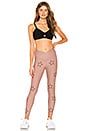 view 4 of 4 Star Legging in Star