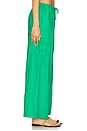 view 3 of 6 Amara Pant in Mediterranean Mint