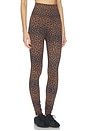view 4 of 7 Piper Legging in Caramel Leopard