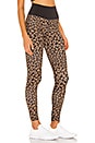 view 2 of 4 LEGGINGS LEOPARD in Leopard