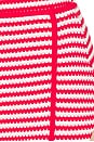 view 6 of 6 Eli Skirt in Crimson Stripe