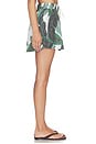 view 5 of 7 Clyde Skirt in Banana Palms