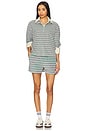view 4 of 5 Sonia Top in Sage Bloom Stripe