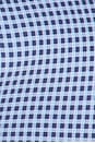 view 5 of 5 Leah Top in Blue Gingham