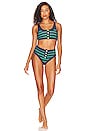 view 4 of 4 Isle Bikini Top in Verdant Rugby Stripe