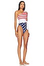 view 2 of 3 Carlie One Piece in Star Spangled