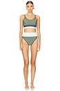 view 4 of 4 Eva Top in Palm Paradise Colorblock